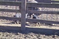 Jason Thur. Apr. 19th 07